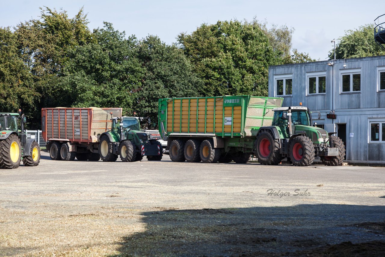 Bild 114 - Maisernte